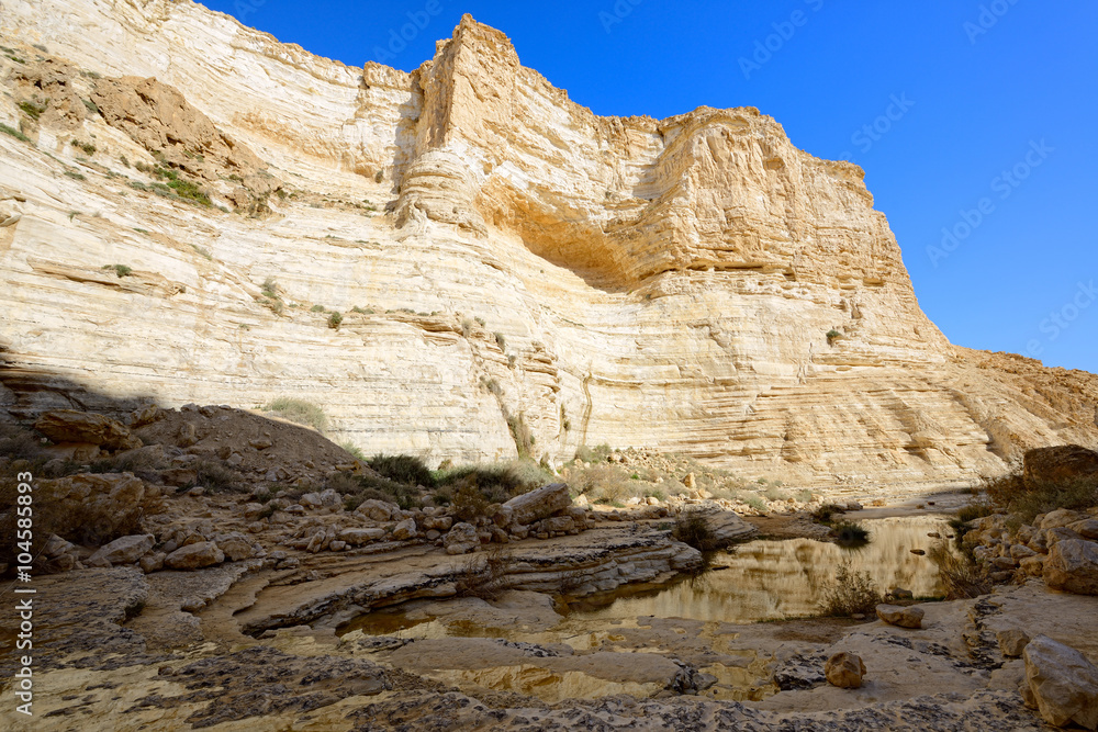 Fototapeta premium Unique canyon in the Negev desert.