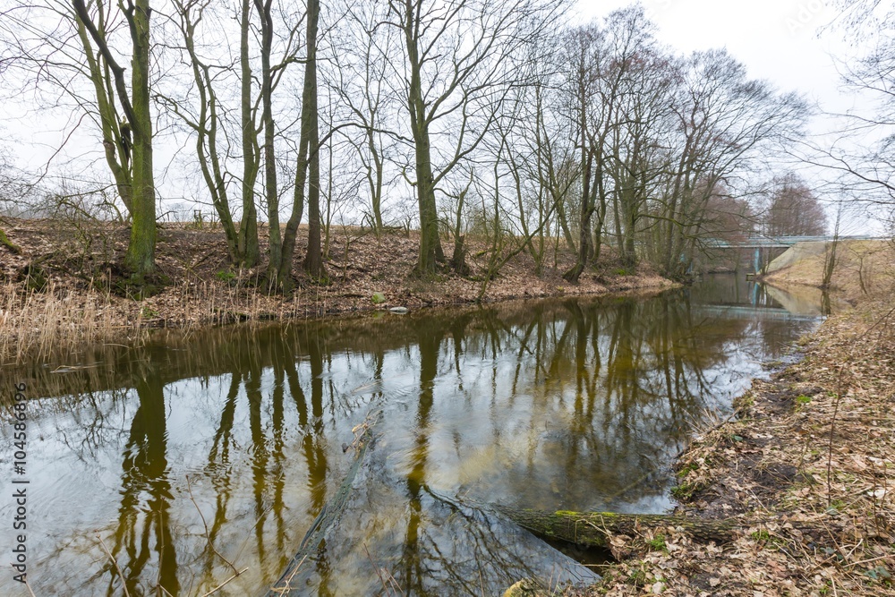 River in springtime forest in Poland River in springtime forest in Poland