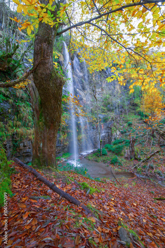 Bosque otoñal con cascada, Courel, Samos, Lugo Galicia, 