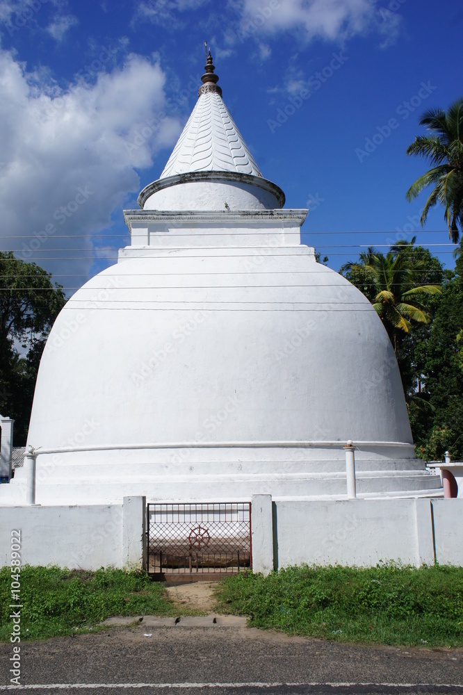 Fototapeta premium SONY DSC