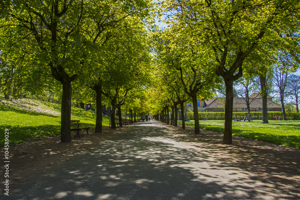 Naklejka premium Walk in the park