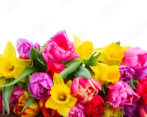 bouquet of   tulips and daffodils