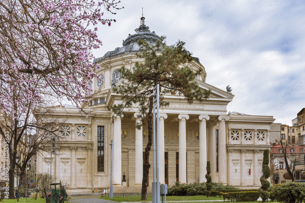 Fototapeta premium Romanian Athenaeum in Bucharest