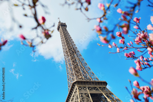 Spring in Paris © Ekaterina Pokrovsky