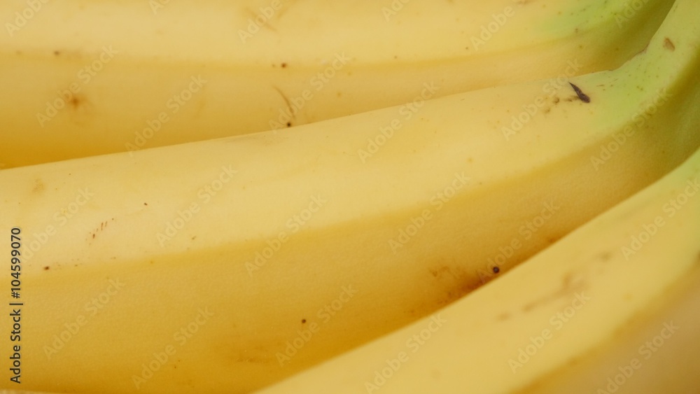 Exotic banana fruit in a row 4K 2160p 30fps UltraHD tilt footage - Musa acuminata and Musa balbisiana family of fresh fruit 4K 3840X2160 UHD tilt video Exotic banana fruit in a row 4K 2160p 30fps UltraHD tilt footage - Musa acuminata and Musa balbisiana family of fresh fruit 4K 3840X2160 UHD tilt video