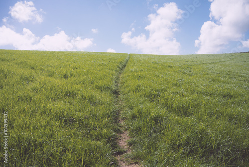 Central path made through grass hillside