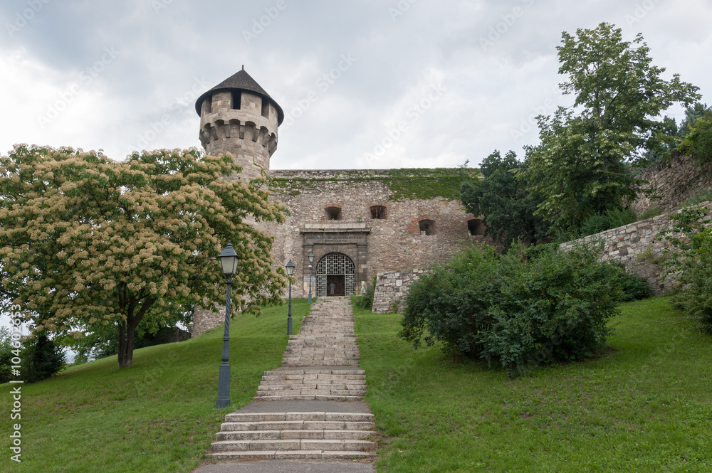 Buda castle entrance and Mace tower