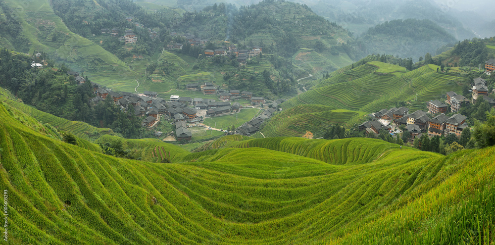 Views of green Longji terraced fields and Dazhai village