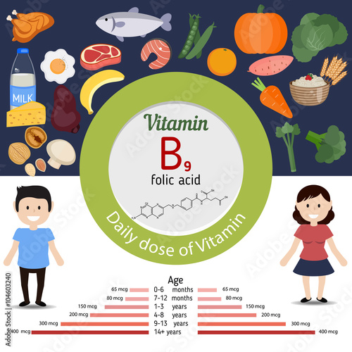 Vitamin B9 or folic acid infographic