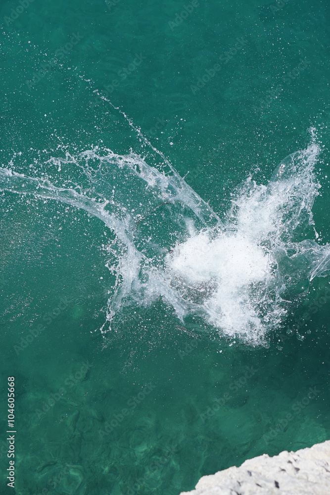 Naklejka premium Sprung ins Wasser