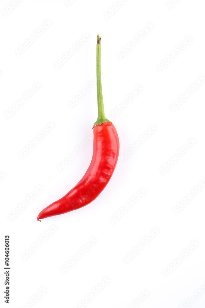 chili pepper on white