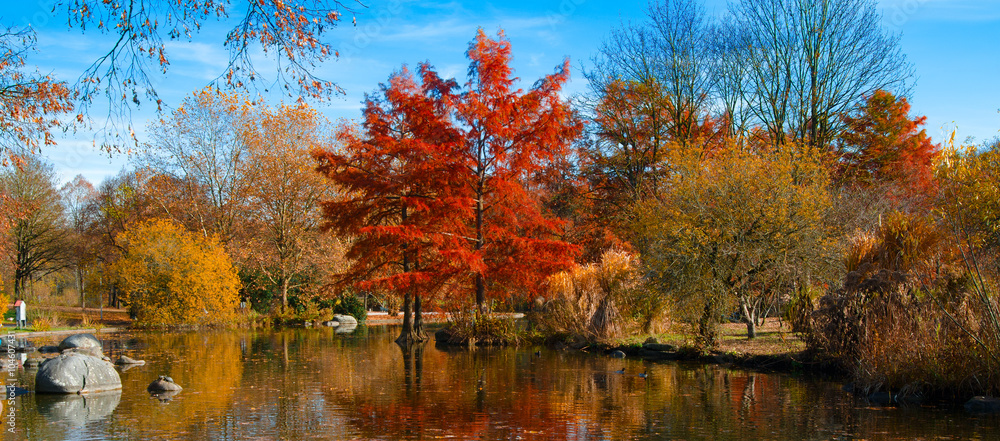 Obraz premium Autumn Park. Trees reflected in the water of the lake in the park