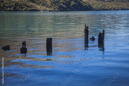 Entlang des Ufers des Lake Wakatipu photo