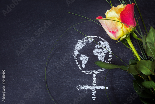 Rose and a chalk drawn female sign with earth globe on a blackboard