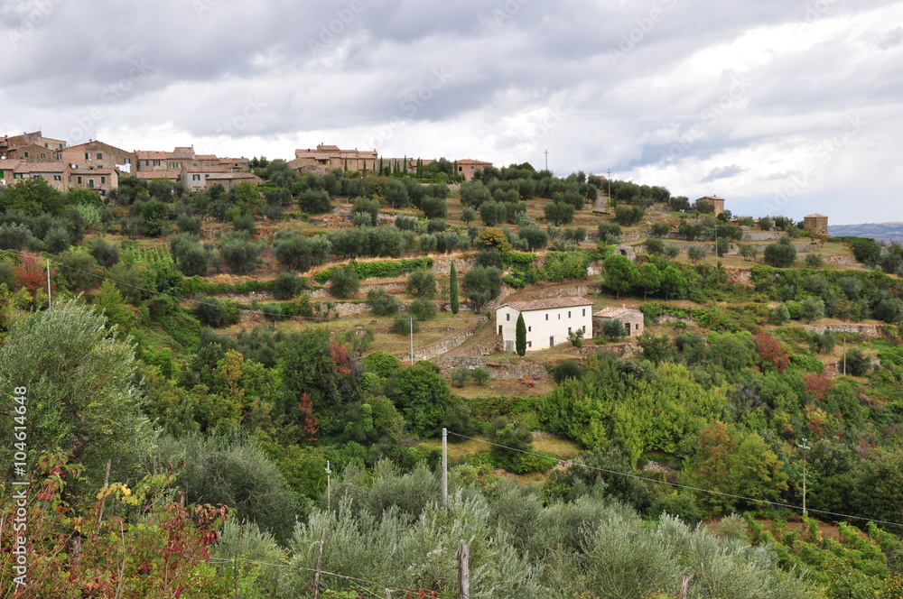 Fototapeta premium Toskania