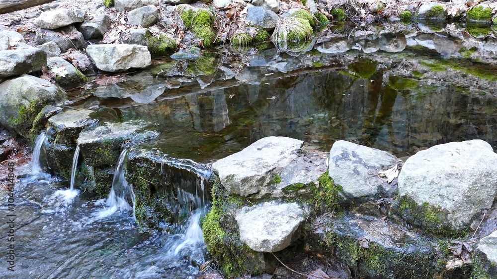 The Famous Fern Spring at Yosemite National Park around February The Famous Fern Spring at Yosemite National Park around February