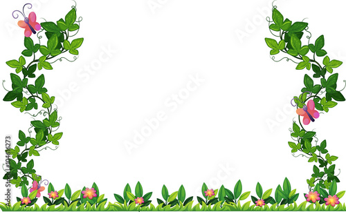 Border design with vine and butterflies