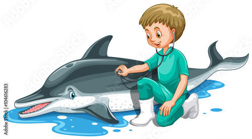 Vet checking up dolphin