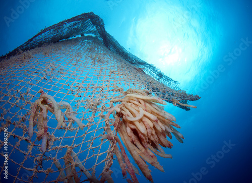 Wallpaper Mural old abandoned fishing net Torontodigital.ca