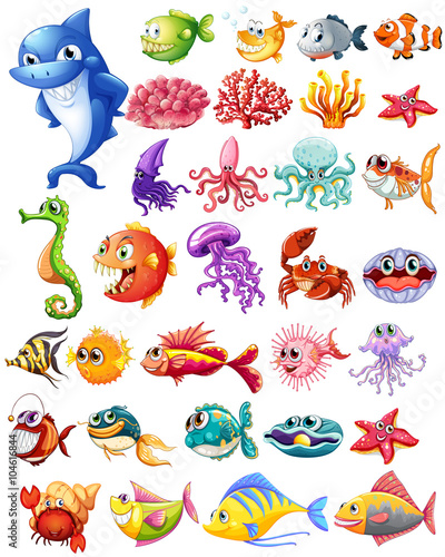 Photo Different types of sea animals