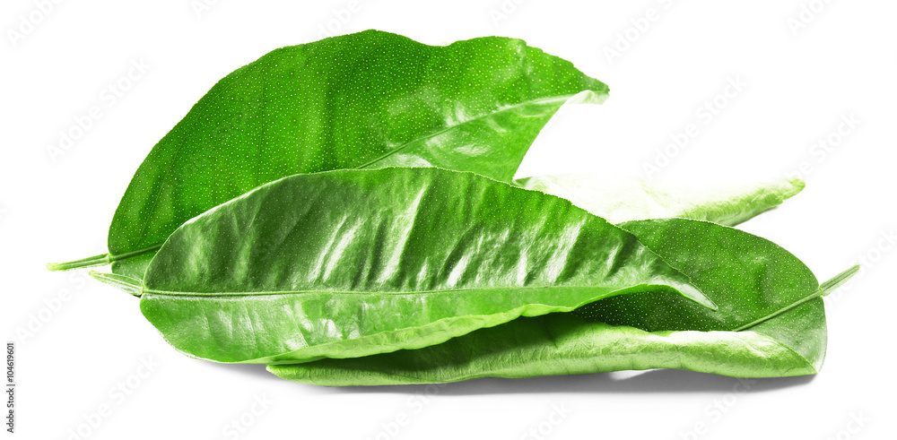 Obraz premium Green tea leaves, isolated on white