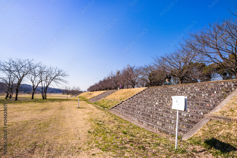 多摩川河川敷 多摩川河川敷