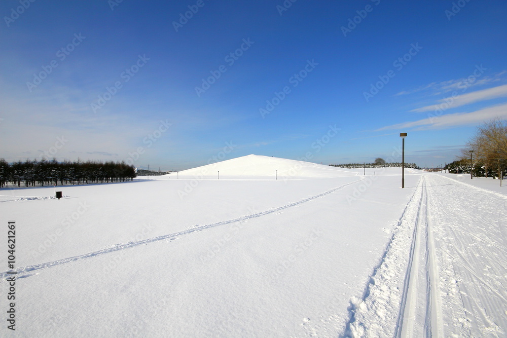 winter landscape with snow covered moere park in sapporo .hokkaido-japan