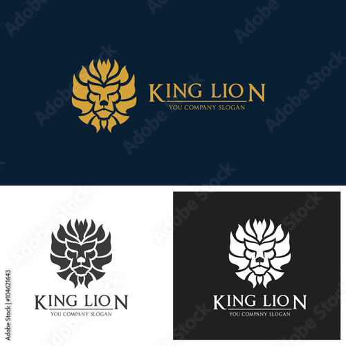 Lion Logo,Animal logo,Vector Logo template 