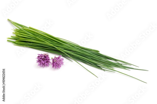 Chives bunch isolated on white background. Chives herb. Chives flower.
