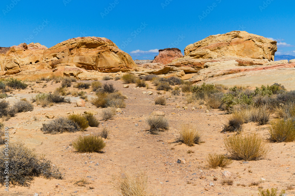 Desert in Valley of Fire State Park, Nevada, USA