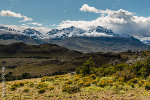 alpine vegetation in Southern Patagonia  Argentina