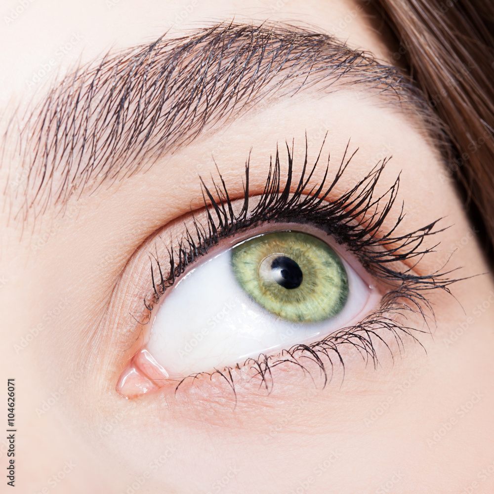 Fototapeta premium female eye zone and brows with day makeup