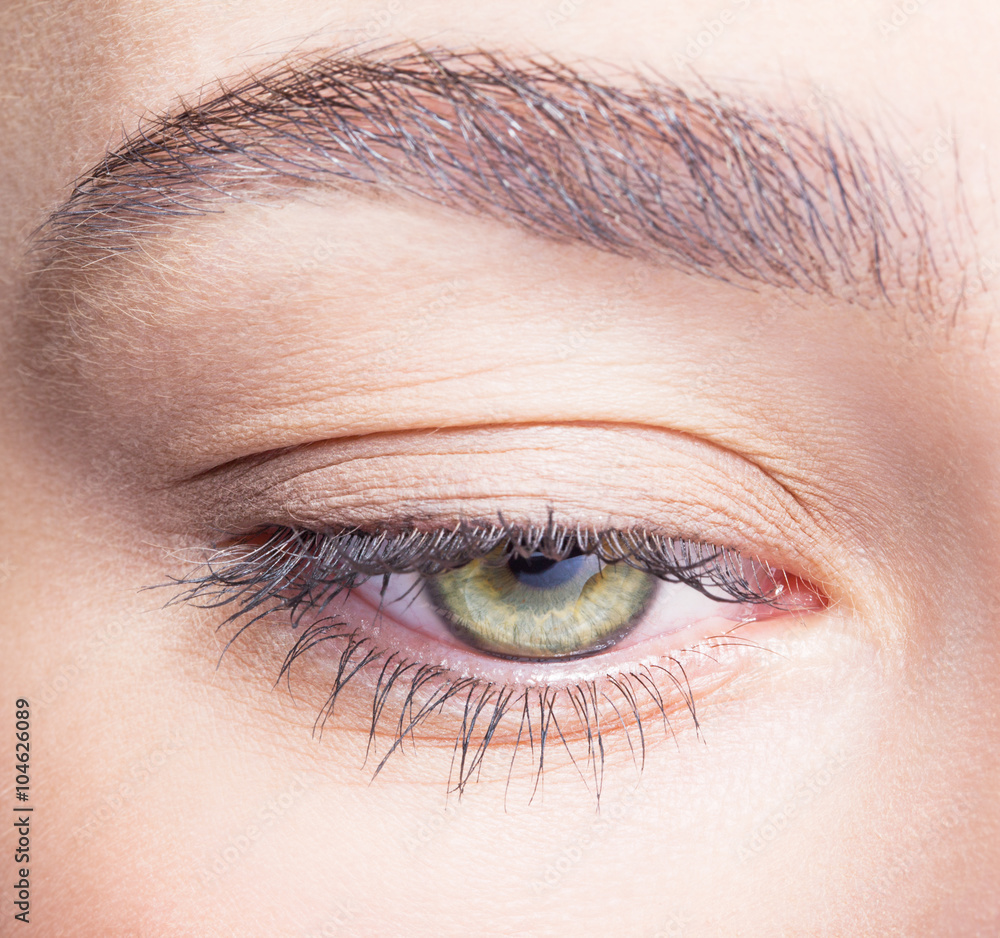 Naklejka premium female eye zone and brows with day makeup