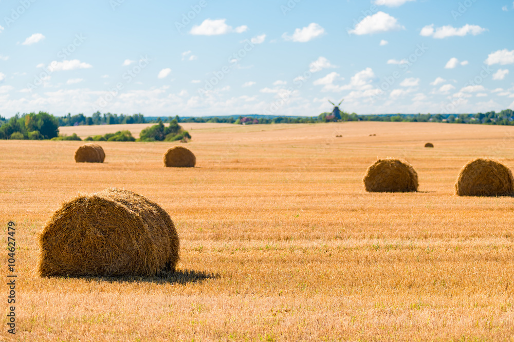 stacks of straw in a yellow harvested field