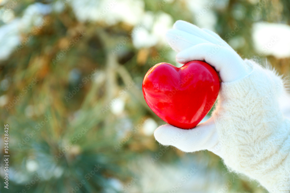 Fototapeta premium Woman hand in knitted mitten holding red heart on winter background