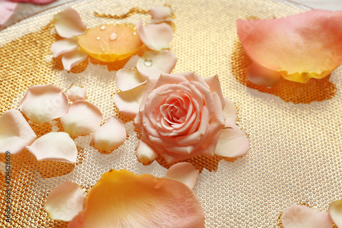 Pink and yellow rose petals in golden bowl with water, close up