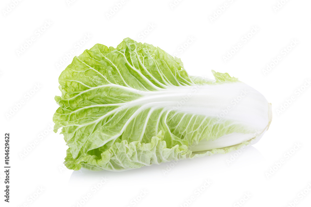 fresh chinese cabbage on a white background fresh chinese cabbage on a white background