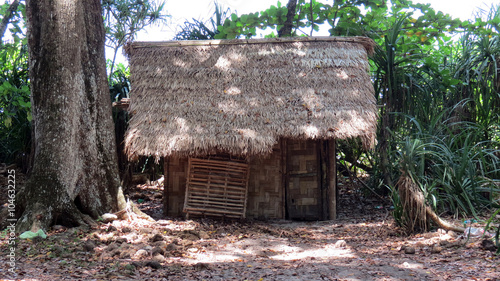 A small hut with thatched roof by the side of a tree.