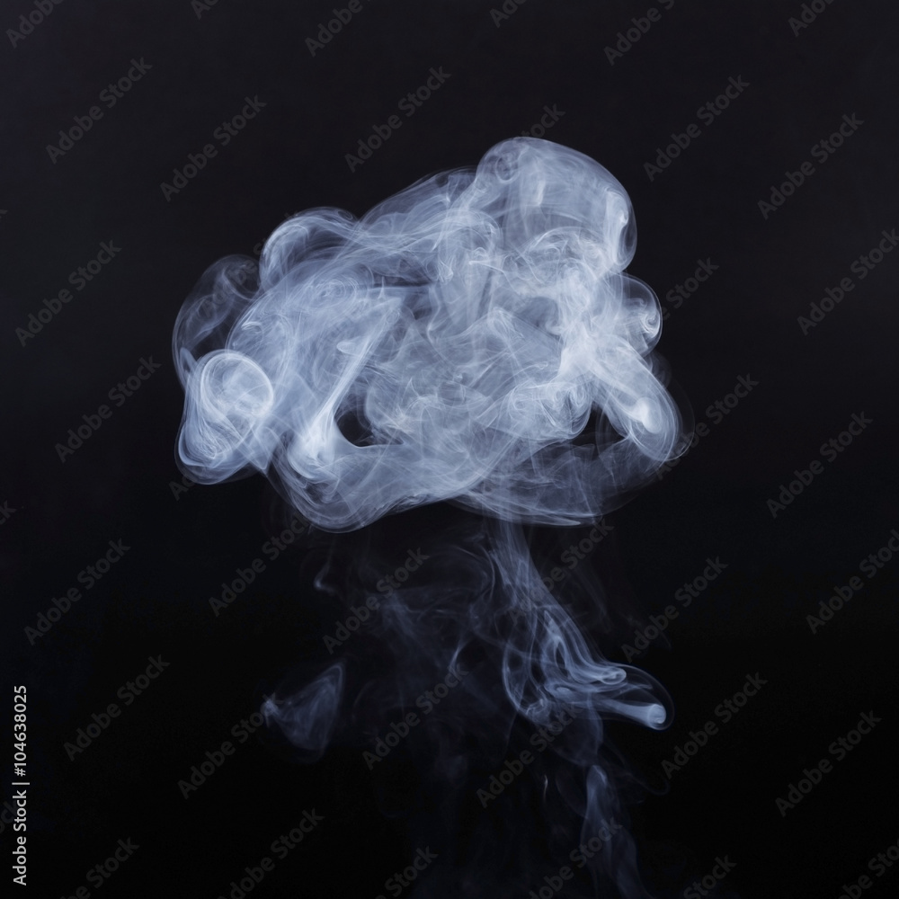 Fototapeta premium White smoke isolated on white background