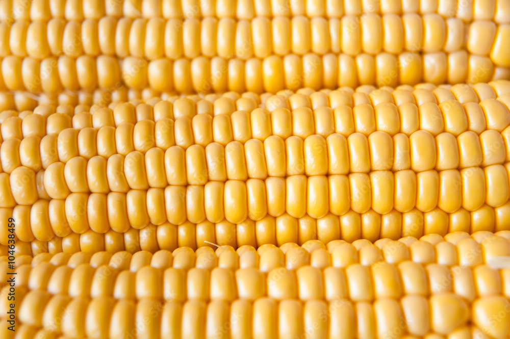 Corn background, macro Corn background, macro