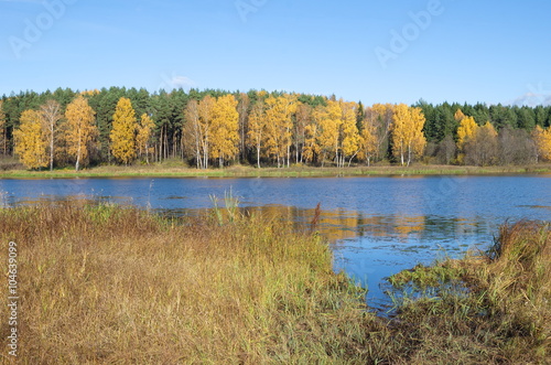 Autumn landscape with river on a Sunny day