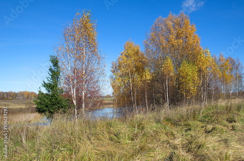 Autumn landscape with river on a Sunny day