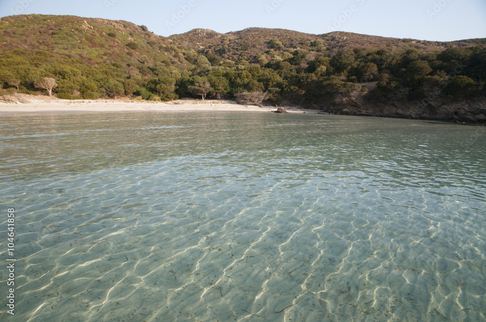 asinara