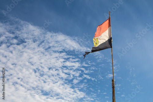 Egyptian ragged flag in the wind