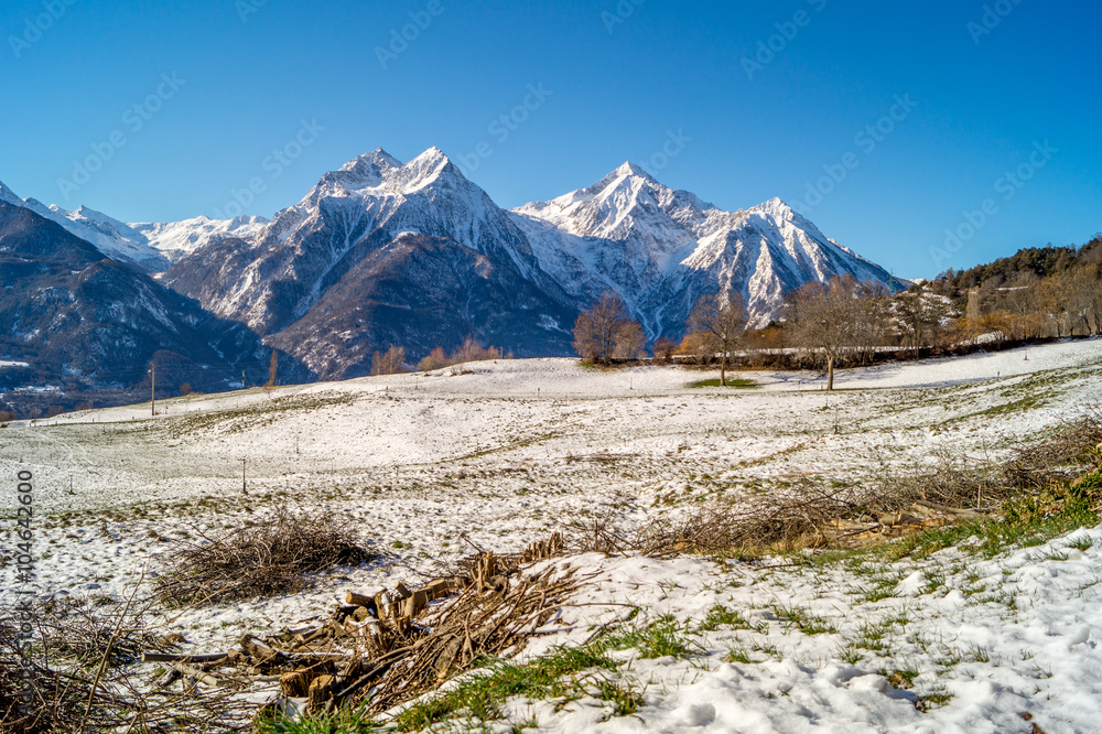 Aberi tra la neve, montagne innevate, montagne invernali, montagne con sole, monti al mattino con poca neve