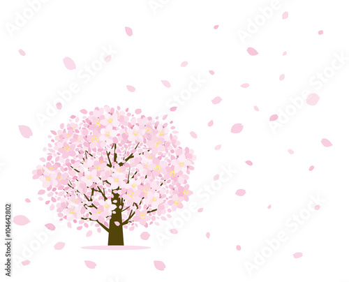 桜の樹