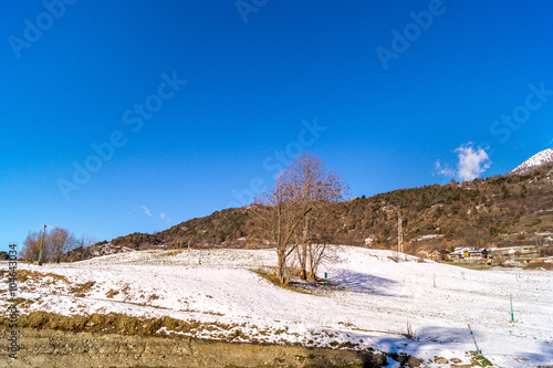 Aberi tra la neve, montagne innevate, montagne invernali, montagne con sole, monti al mattino con poca neve