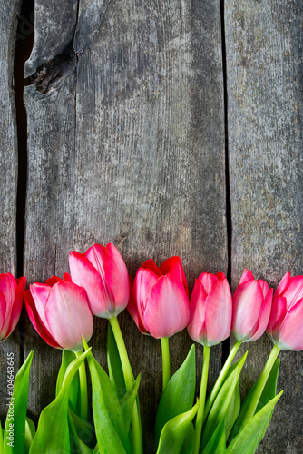 Wallpaper Mural pink tulips on wooden surface Torontodigital.ca