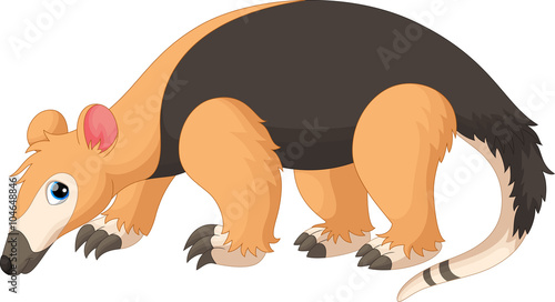 Vector illustration of Tamandua tetradactyla isolated on white background