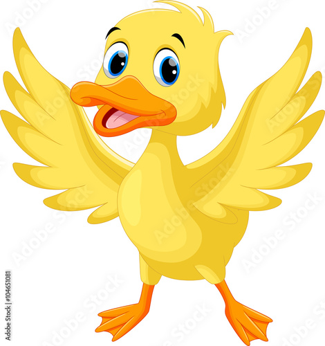 Vector illustration of cute baby duck